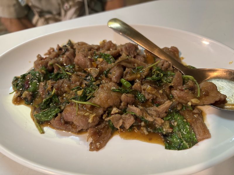 เนื้อผัดใบกะเพรากับพริก บนจานขาว